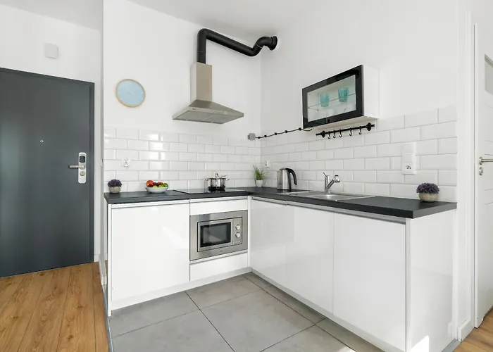 Klimatyczne I Nowoczesne Very Berry W Poznaniu By Renters Apartment *